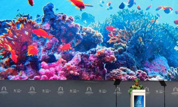 WTO kêu gọi các nước sớm đạt được thỏa thuận toàn diện về trợ cấp nghề cá