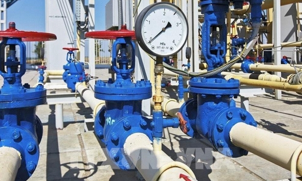 Giá gas hôm nay 29/2: Giảm do tồn kho tăng