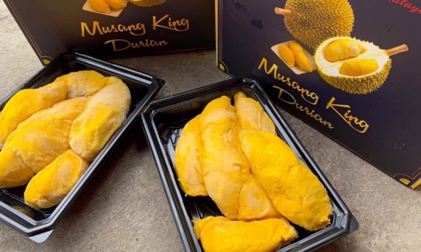 Sầu riêng Musang King Malaysia rẻ bất ngờ vì chín sớm