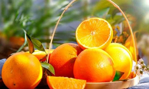 Tiêu thụ chậm, thị trường cam quýt tiếp tục ảm đạm