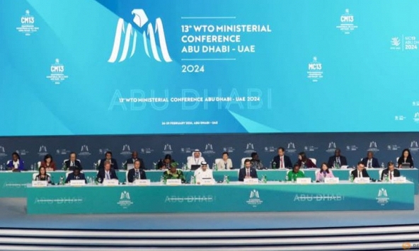 WTO kéo dài lệnh cấm áp thuế thương mại điện tử sang năm 2026