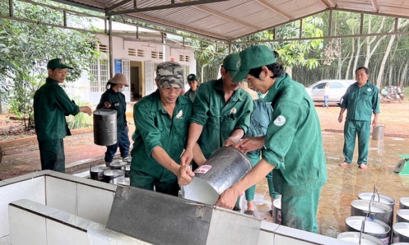 Giá cao su hôm nay 2/3: Tiếp đà giảm