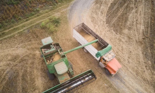 Trung Quốc mua lượng lớn ngũ cốc nước ngoài khi giá toàn cầu sụt giảm