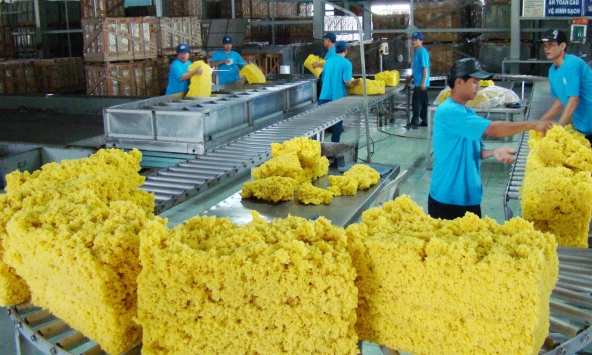 Giá cao su hôm nay 6/3: Biến động trái chiều