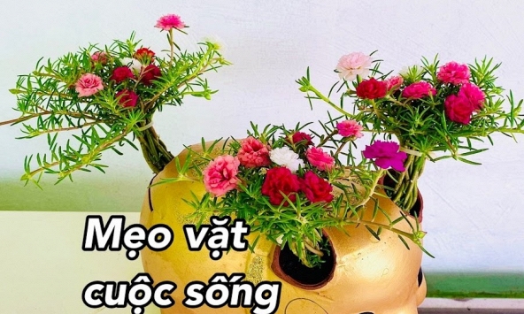 Nên nghe điện thoại tai trái hay tai phải?