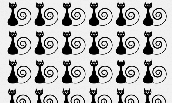 Đố vui 12/3: Trắc nghiệm trí thông minh, tìm điểm khác nhau