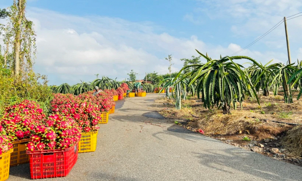Argentina coi Việt Nam là thị trường quan trọng nhất trong ASEAN