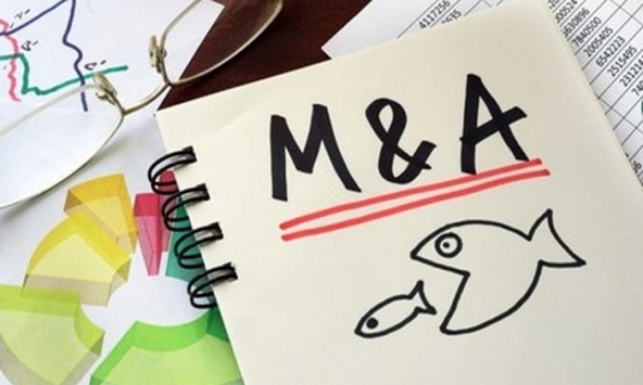 Thị trường M&A sôi động: Gọi vốn hay 'bán mình'?