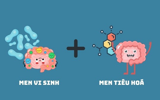 Hướng dẫn cha mẹ phân biệt men vi sinh và men tiêu hóa