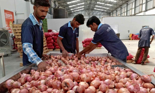 Ấn Độ gia hạn lệnh cấm xuất khẩu hành tây vô thời hạn