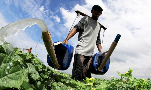 Tác động của biến đổi khí hậu tập trung vào Ngày Nước Thế giới 2024