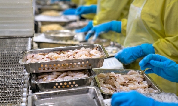 DOC công bố thuế chống trợ cấp sơ bộ với tôm Việt Nam, Ấn Độ và Ecuador