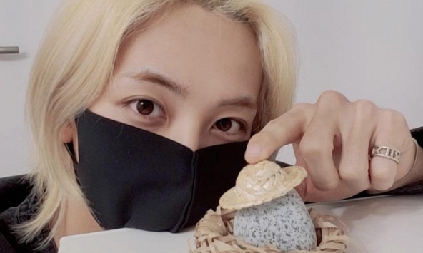 Giới trẻ Hàn Quốc phát cuồng 'nuôi' đá làm thú cưng