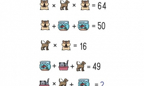 Đố vui 2/4: Trắc nghiệm trí thông minh, nhìn hình đoán số