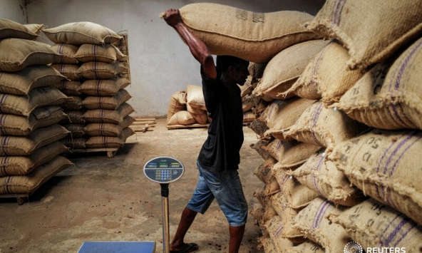 Khủng hoảng ca cao Tây Phi đẩy giá chocolate tăng liên tiếp