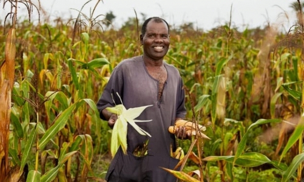 Liệu châu Phi sẽ là 'cái nôi mới' của lương thực thế giới?