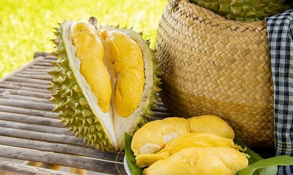 Xuất khẩu rau quả - Điểm sáng kinh tế Việt Nam