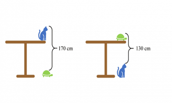 Đố vui 8/4: Trắc nghiệm trí thông minh, thử tài toán học