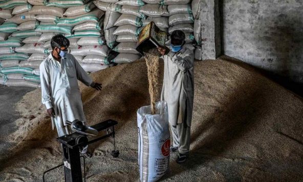 Cuộc chiến gạo basmati giữa Ấn Độ và Pakistan trở nên gay gắt