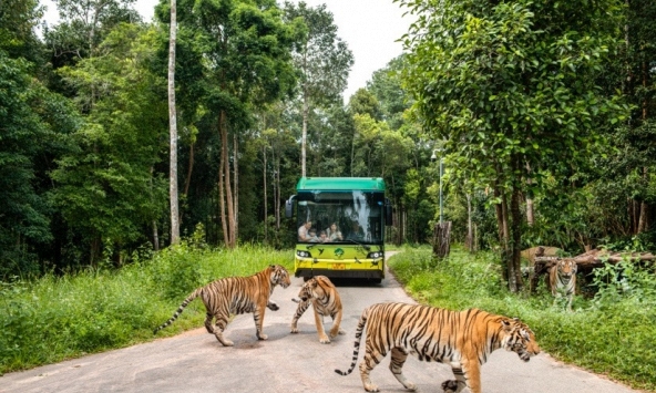 Siêu hot trải nghiệm 'nhập vai bảo mẫu nhí' cực hút khách tại Vinpearl Safari