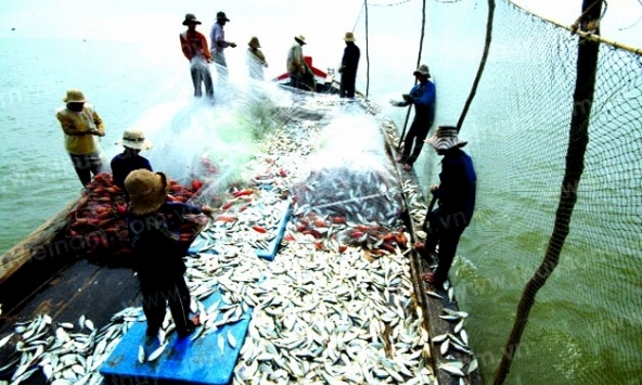 Vi phạm hành chính trong lĩnh vực thủy sản bị phạt tới 2 tỷ đồng