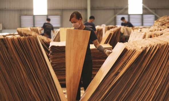 Mỹ tiếp tục gia hạn kết luận chống lẩn tránh thuế phòng vệ tủ gỗ Việt Nam