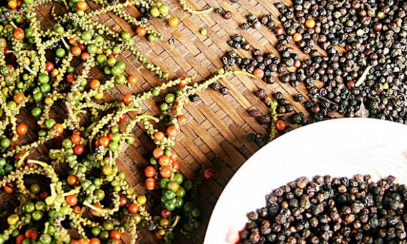 Giá tiêu hôm nay 15/4: Cao nhất 89.500 đồng/kg