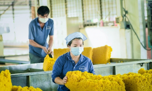 Giá cao su hôm nay 23/4: Tăng trên sàn Tokyo