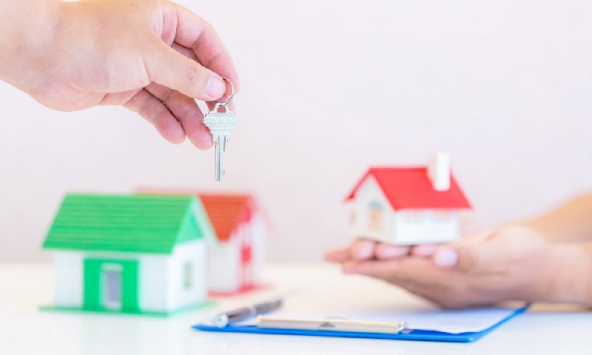 Chuyển nhượng quyền sử dụng đất