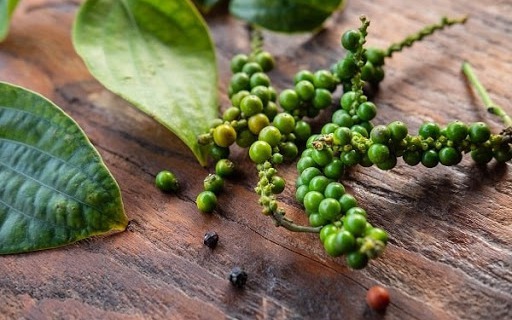 Giá tiêu hôm nay 26/4: Giảm 500 đồng/kg