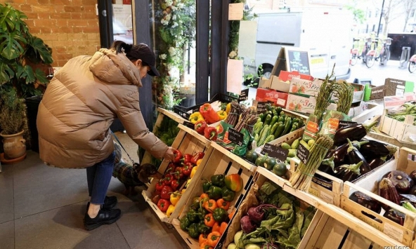 OECD điều chỉnh tăng dự báo tăng trưởng toàn cầu