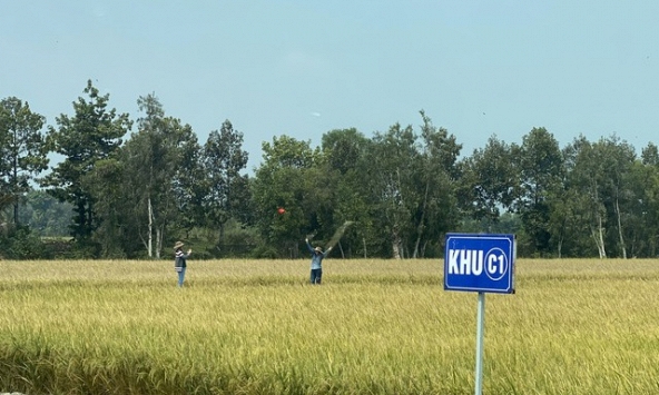 4 tháng, xuất khẩu nông, lâm, thủy sản tăng gần 24%