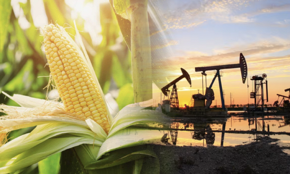 Đầu tư hàng hóa nhóm nông sản đạt mức kỷ lục