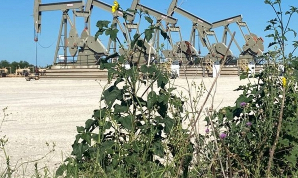 Dầu thiết lập mức tăng hàng tuần nhờ dấu hiệu nhu cầu cải thiện