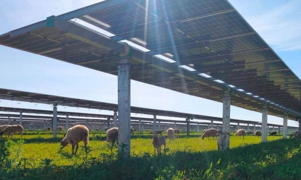 Mỹ vẫn phụ thuộc rất nhiều vào Trung Quốc về tấm silicon và năng lượng mặt trời