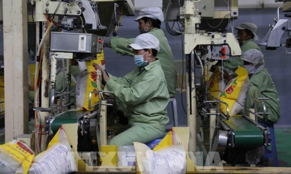 Việt Nam xuất siêu hơn 8 tỷ USD trong 5 tháng