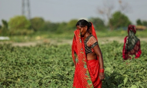 Nắng nóng kinh hoàng ở Ấn Độ, hàng chục người thiệt mạng