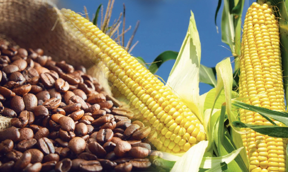 Chỉ số giá hàng hoá MXV-Index giảm 3 ngày liên tiếp