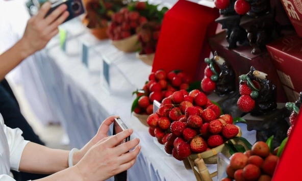 Nông dân trồng vải thiều Trung Quốc hưởng lợi từ mạng 5G