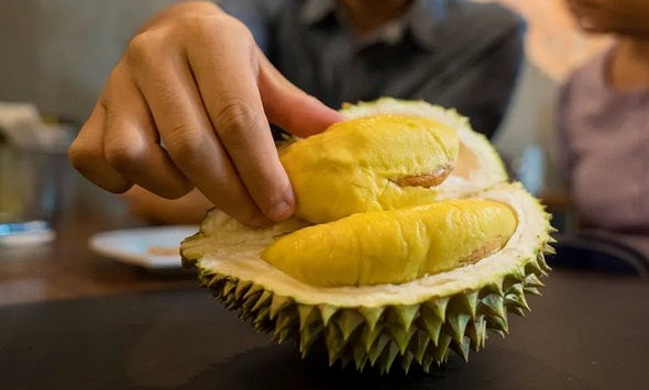 Trung Quốc: Cơn sốt sầu riêng lan sang đồ ăn vặt, trà sữa và cả món Lẩu