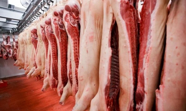 Trung Quốc điều tra chống bán phá giá đối với thịt lợn nhập khẩu từ EU