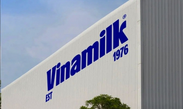 Vinamilk - Doanh nghiệp duy nhất của ngành sữa Việt Nam trong danh sách Fortune 500 Đông Nam Á