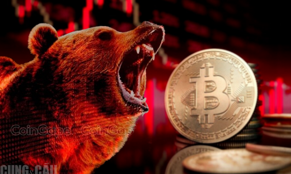 3 lý do khiến các nhà phân tích cho rằng giá Bitcoin đang ở 'đỉnh chu kỳ'