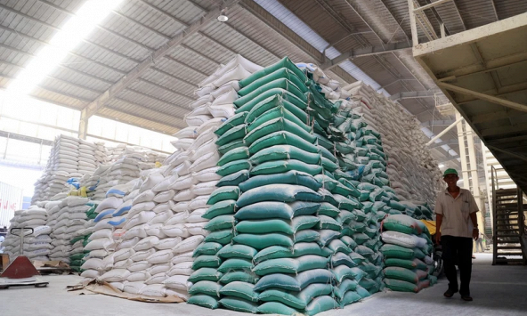 Hoạt động mua bán chậm lại, giá gạo Thái Lan và Việt Nam cùng giảm