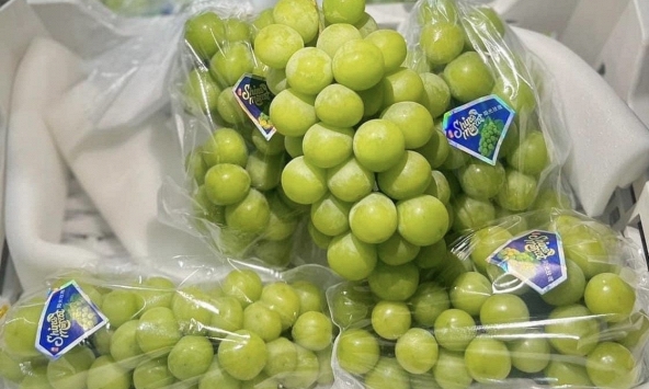 Nho ngoại tràn ngập chợ Việt, giá rẻ như rau