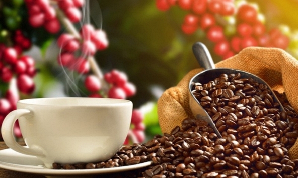 Cà phê Arabica gần đạt mức cao nhất trong hai năm