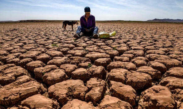 Tổng thư ký Liên Hợp Quốc cho biết nhân loại đang phải chịu đựng 'đại dịch nhiệt độ cực đoan'