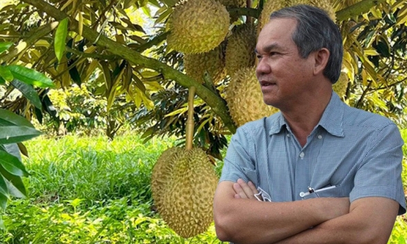 Bầu Đức sắp 'thắng to' nhờ thu hoạch loại cây tỷ USD của Việt Nam