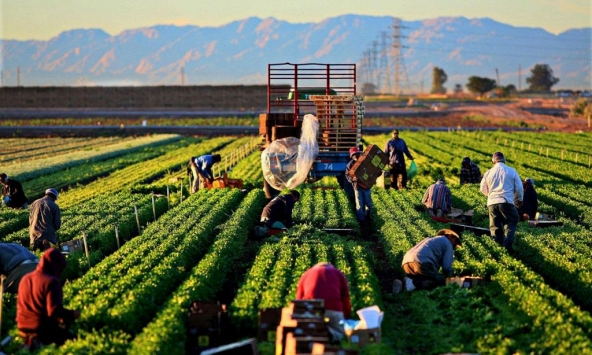 Thiệt hại hàng chục tỷ USD, bảo hiểm vẫn khó chi trả