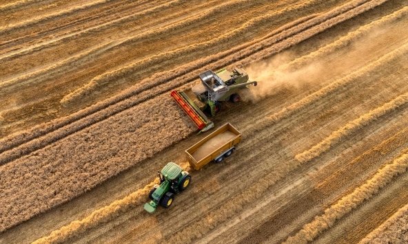 Người thắng và kẻ thua lớn nhất trên thị trường hàng hóa toàn cầu